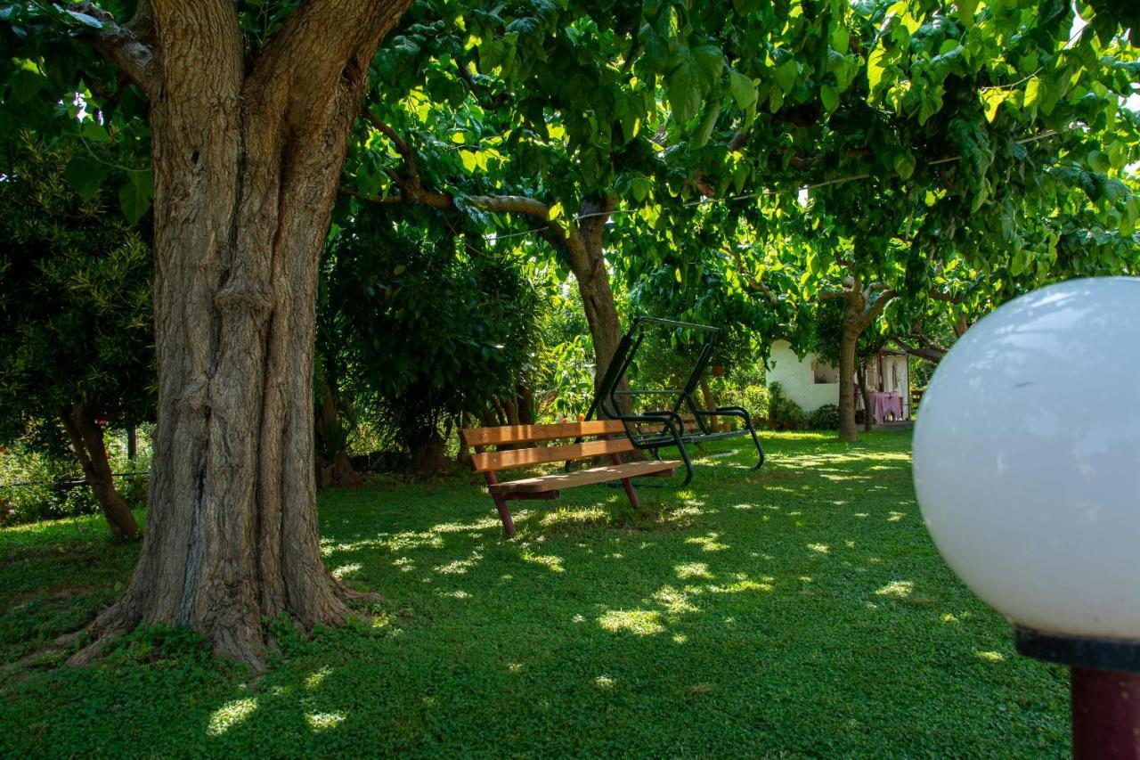 Ritsinia Apartments Aigio Bagian luar foto